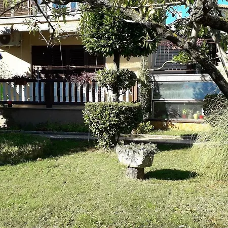 Darja